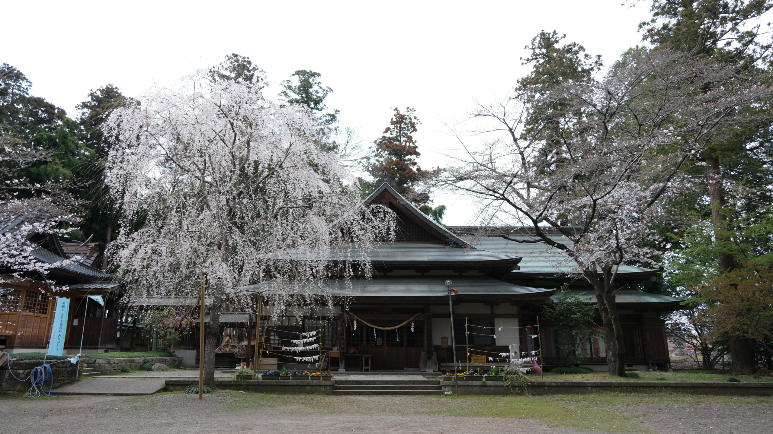 雄琴神社　社務所